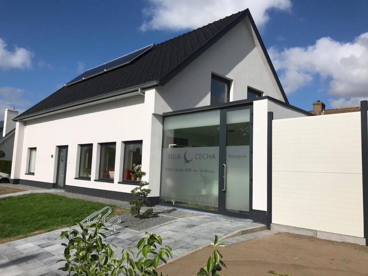 Villa Cecha B&B &Wellness Oostende Eksteriør billede